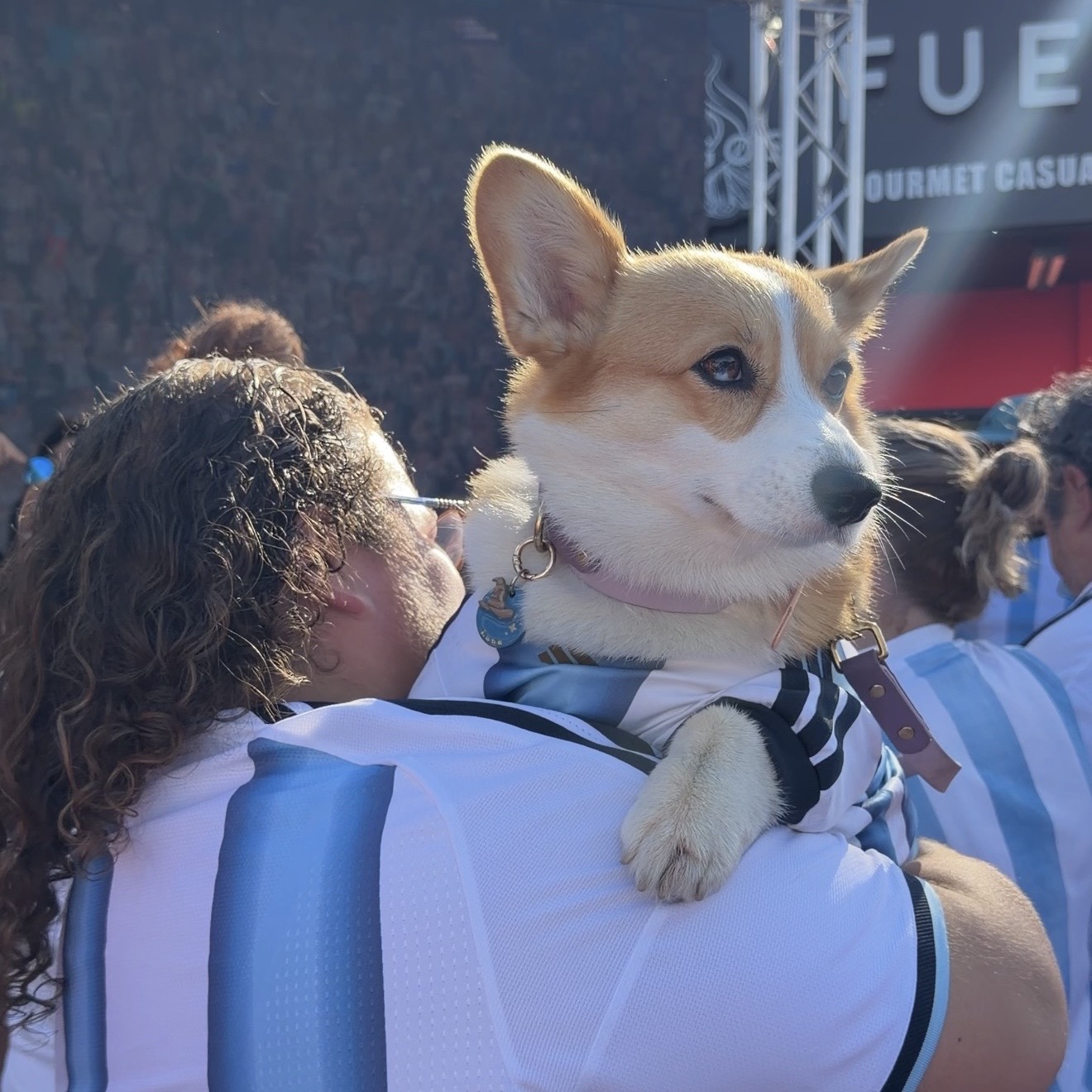 Argentina fan at World Cup watch party Los Angeles